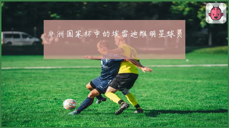 非洲国家杯中的埃雷迪维明星球员