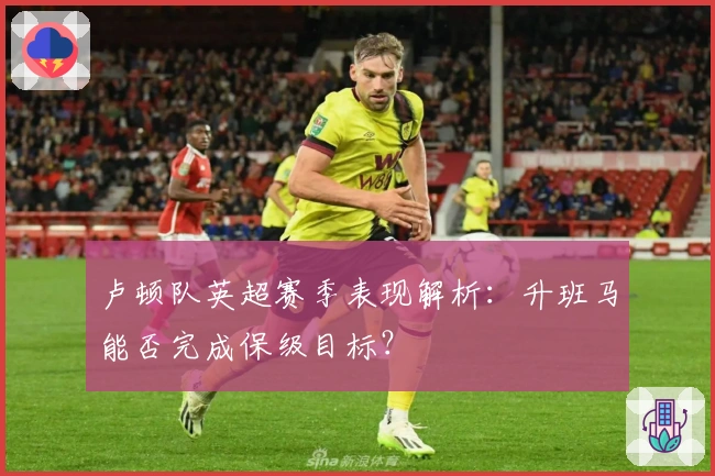 卢顿队英超赛季表现解析：升班马能否完成保级目标？