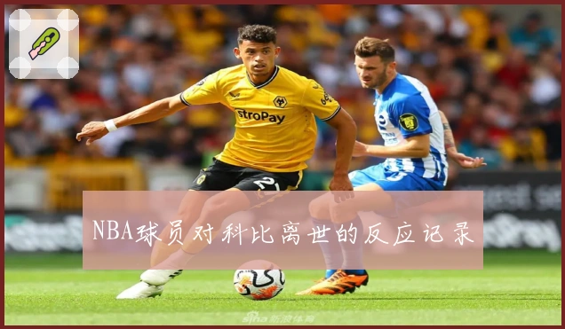 NBA球员对科比离世的反应记录