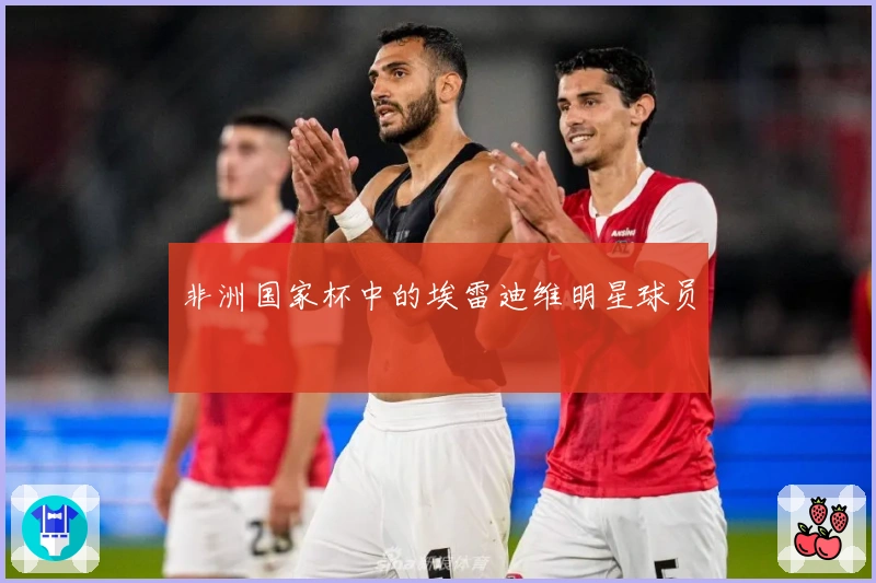 非洲国家杯中的埃雷迪维明星球员