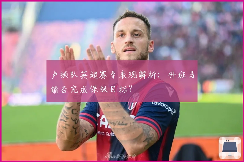 卢顿队英超赛季表现解析：升班马能否完成保级目标？